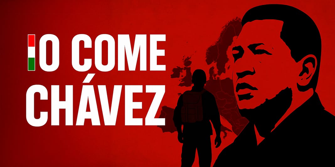 Image 21 nov 2025, 12_22_04