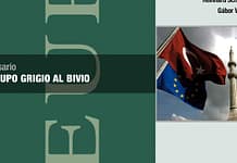 IL LUPO GRIGIO AL BIVIO