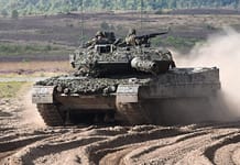 I LEOPARDI NON CORRERANNO