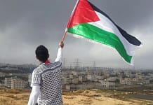 UN DIAGNÓSTICO DE LOS CONFLICTOS DE PODER