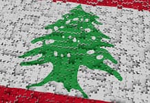 ИНТЕГРАЦИЯ И ДЕЗИНТЕГРАЦИЯ: ЛИВАН И БЕЛАРУСЬ