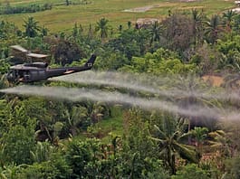 VIETNAM. CINQUANT’ANNI DOPO